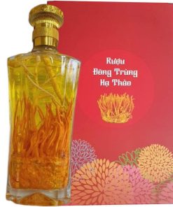 Rượu ngâm đông trùng hạ thảo linh chi sạch