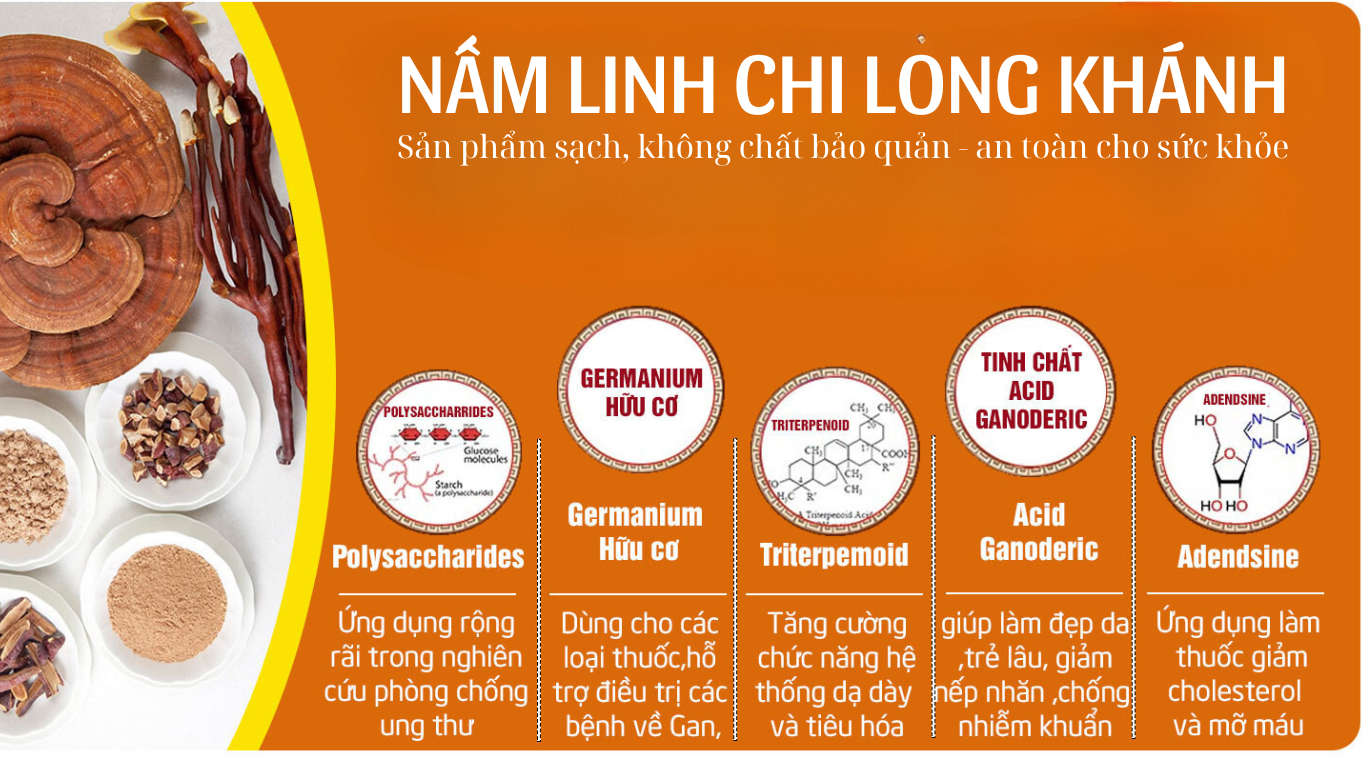 Nấm linh chi đỏ long khánh