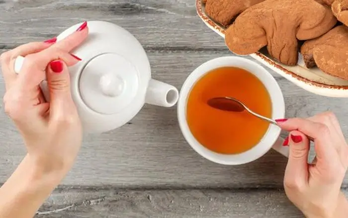 Cách pha trà nấm linh chi