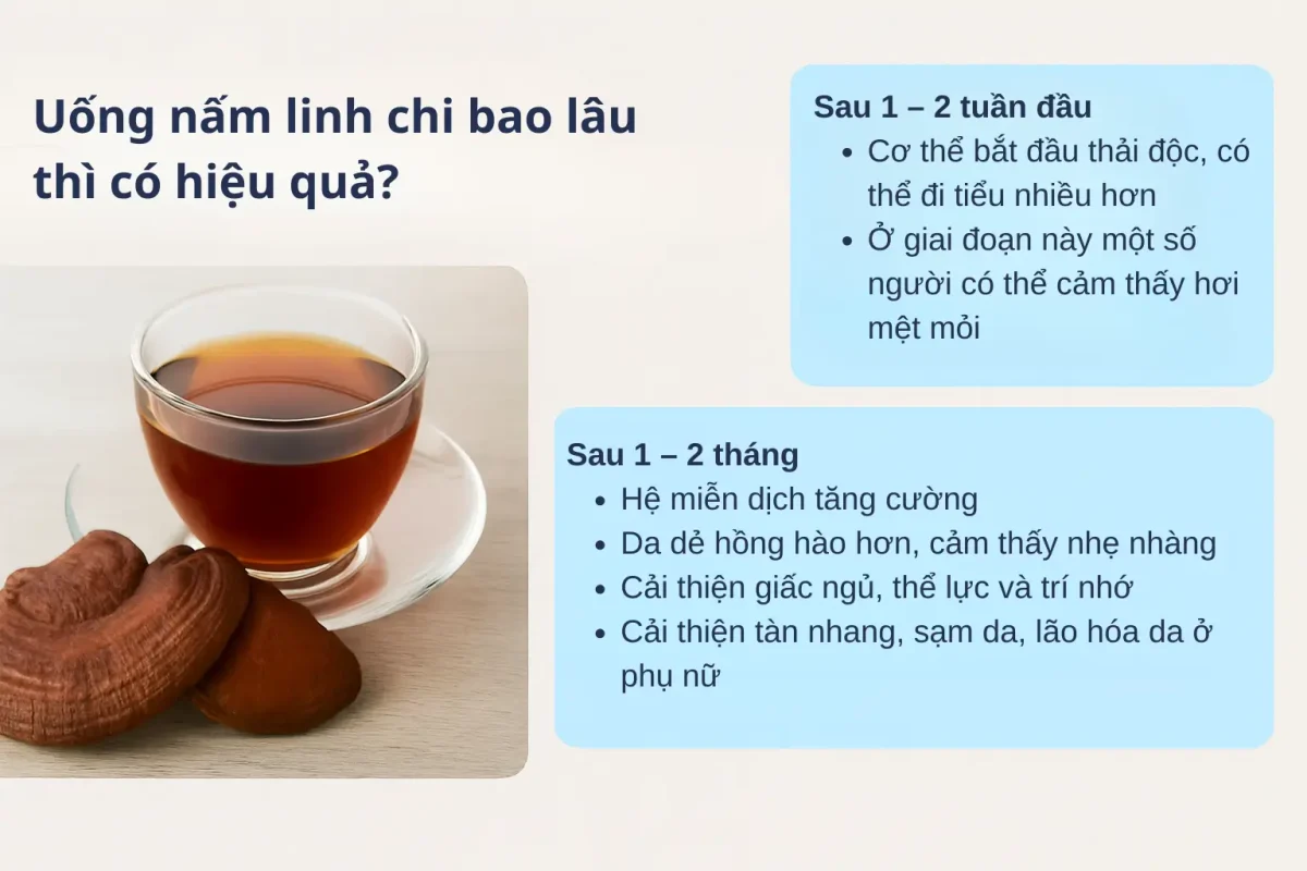 Uống nấm linh chi bao lâu thì có hiệu quả?