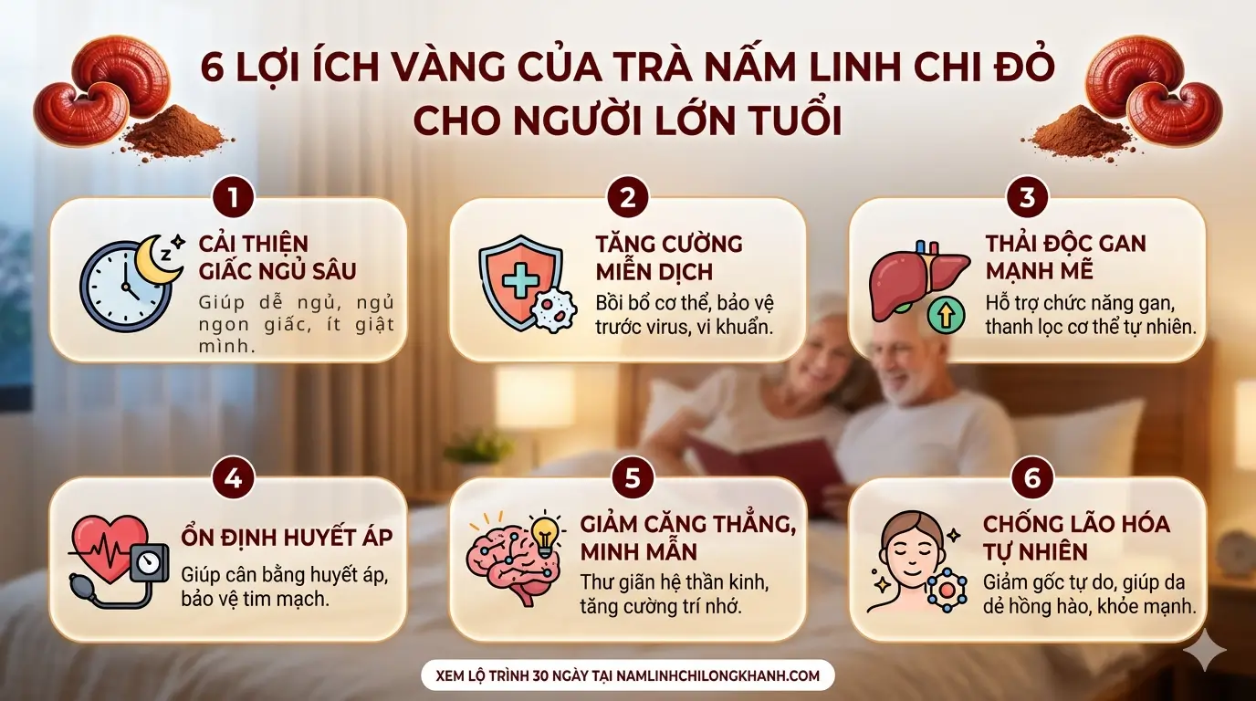 Infographic tóm tắt 6 lợi ích sức khỏe vàng của trà nấm linh chi đỏ dành cho người lớn tuổi: Cải thiện giấc ngủ sâu, Tăng cường miễn dịch, Thải độc gan, Ổn định huyết áp, Giảm căng thẳng minh mẫn, Chống lão hóa. Nông trại Nấm Linh Chi Long Khánh nuôi trồng hữu cơ.