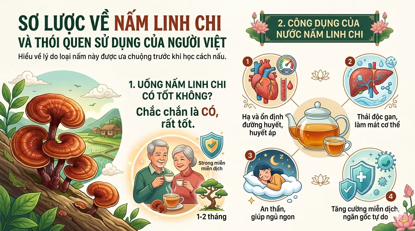 nấm linh chi là gi? công dụng của nấm linh chi